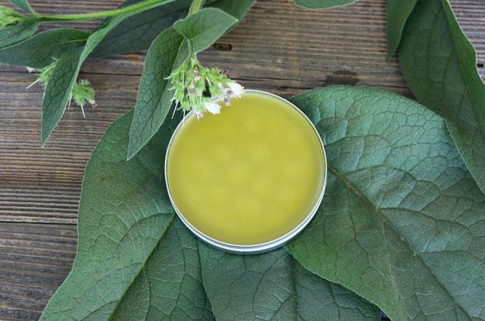 A tin of comfrey salve surrounded by comfrey leaves and flowers, on a wood background.