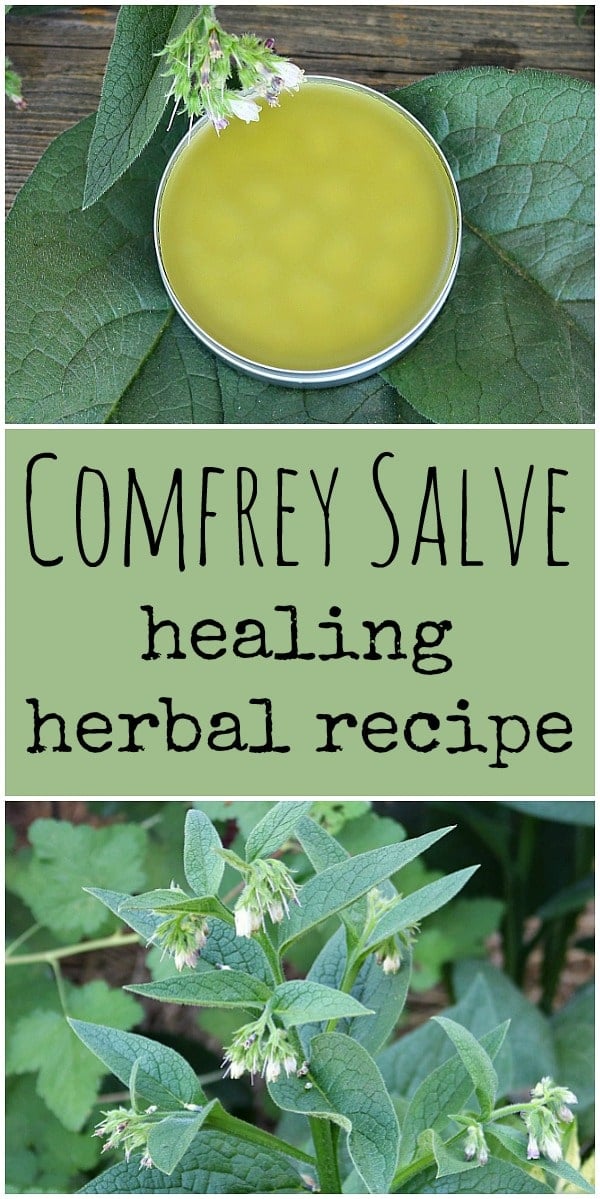 Discovering How To Use Comfrey For Pain Relief Naturally