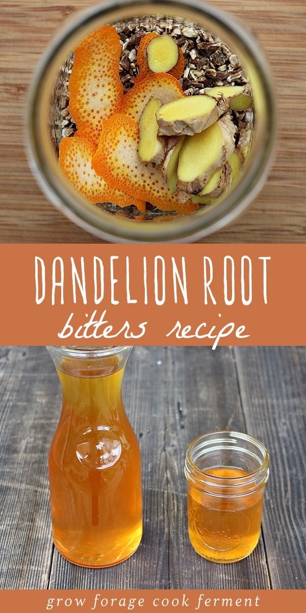 Dandelion root bitters is an easy alcohol infusion to make at home. Bitter herbs are useful in digestion, and a perfect in an aperitif cocktail. They increase the digestibility of food and are also calming to the nervous system. Bonus - they are delicious in cocktail form! Drink a small amount before a meal to stimulate digestion, or add a bit to a fancy cocktail for a different flavor. Learn how to make this herbal dandelion root bitters. #dandelion #herbalism #infusion #bitters #aperitif