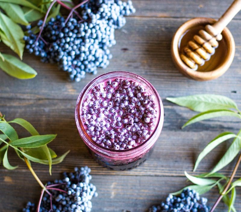 top view of fermented elderberry honey