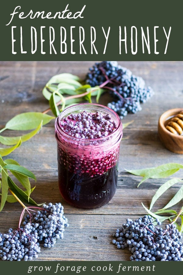 a jar of fermented elderberry honey on a wooden board