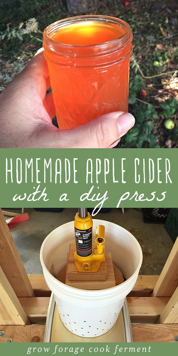 Learn how to build a DIY press for making your own homemade apple cider! Apple cider is delicious in the fall when apples are in season, but for the best apple cider, you should learn how to press you own with this DIY set up. This DIY apple cider press is so easy to make - you just need a few simple tools from your local hardware store. Click through to learn how to make your own homemade apple cider. #applecider #diy #homemade #cider #seasonal #apples