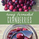 Fresh cranberries resting on a cutting board and a jar of honey fermented cranberries.