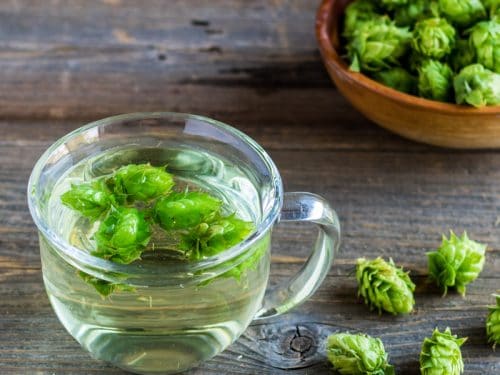 Hoota Tea Hopa Tea Cooperative