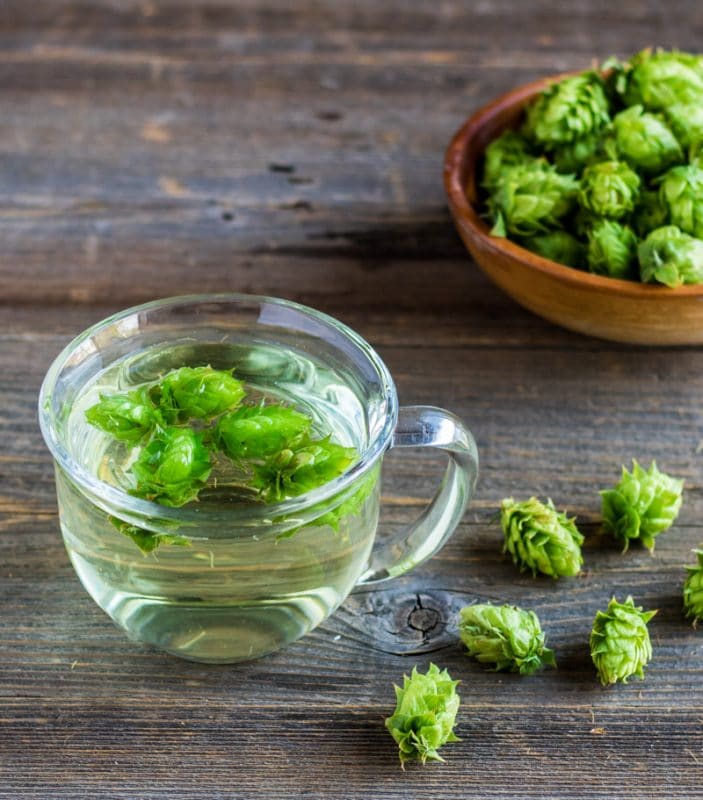 Medicinal Benefits of Hops + Hop Tea