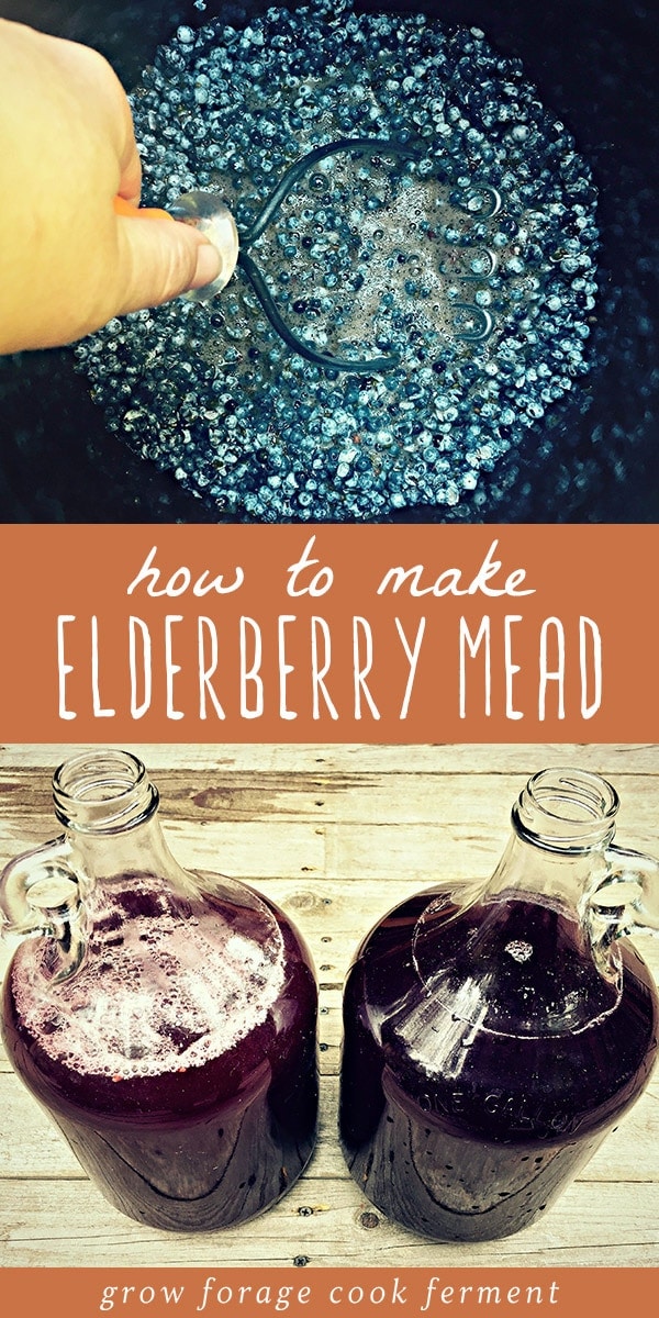 Mead, or fermented honey wine, is a delicious ancient fermented beverage and it's so easy to make! This elderberry mead, made with foraged berries, is a wonderful version of classic mead and perfect for the holidays. Mulled elderberry mead? Sign me up! Learn everything you need to know about making a one gallon batch of elderberry mead at home. #mead #fermented #fermenteddrinks #honeywine #elderberry #traditionalfoods