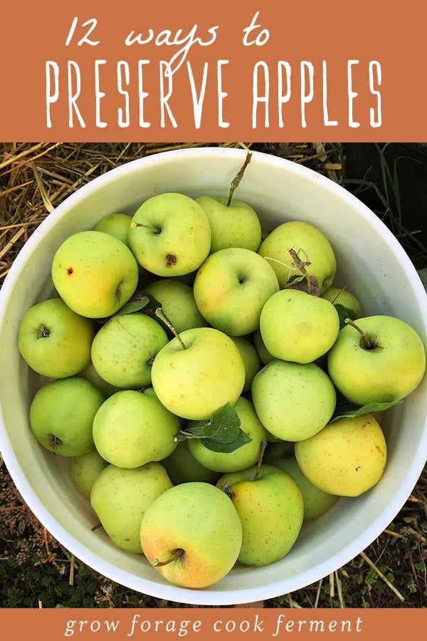 A bucket of apples to preserve.