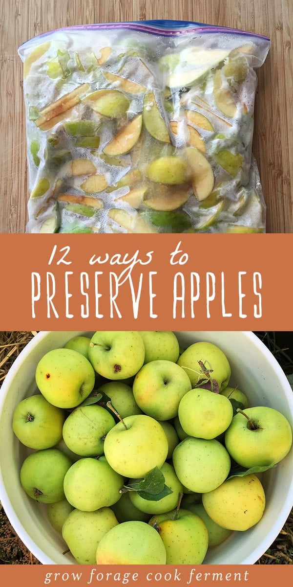 Apple season is here and there are so many ways to preserve the fall harvest to enjoy long after the last apple has fallen from the tree! Canning and freezing are two popular methods, but there are so many delicious recipes you can make to preserve apples including butter, jam, cider and so much more! Click for my 12 favorite real food recipes and methods to preserve apples this fall season. #canning #preserving #apples #fall #fallharvest #realfood #traditionalfood #wholefoods #autumn
