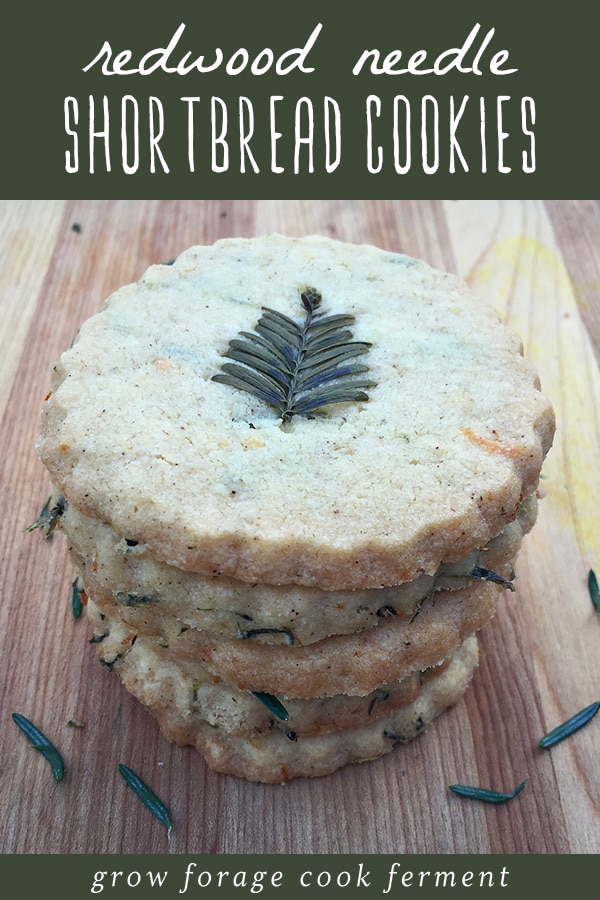 A stack of redwood needle shortbread cookies, an easy winter foraged food recipe.