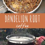 Dandelion root steeping in hot water and a glass mug of roasted dandelion root coffee.