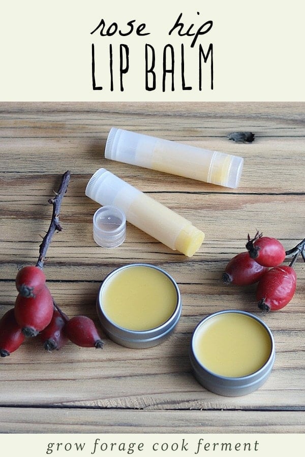 Rose Hip Lip Balm for Soothing Dry Lips
