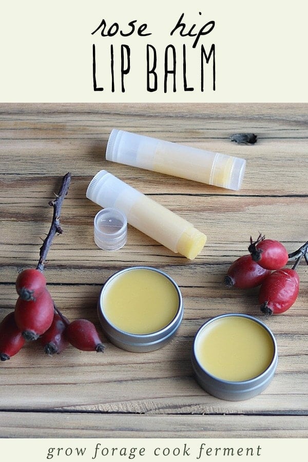 rose hip lip balm on a table with fresh rose hips