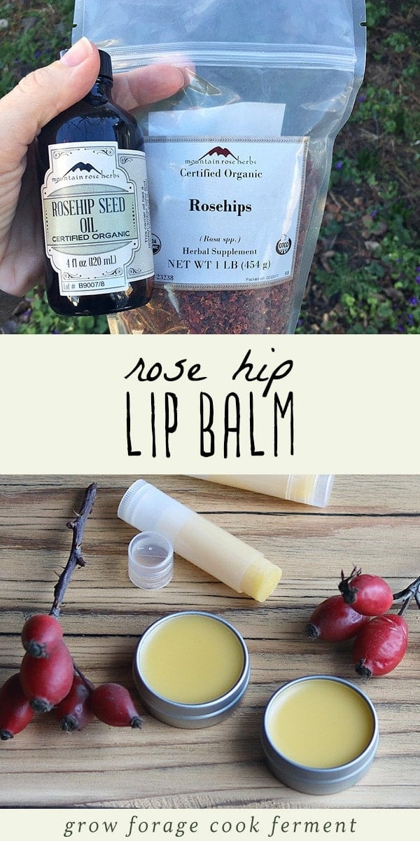 Learn how to make your own homemade and all natural rose hip lip balm. This easy home remedy recipe uses organic dried rose hips, rose hip seed oil, shea butter, and beeswax for a nourishing, soothing, and moisturizing herbal lip balm for dry lips. Whether you're a beginner herbalist, or just interested in learning how to make your own beauty products, you'll love this DIY lip balm remedy! #homeremedy #homeremedies #allnatural #diy #lipbalm #rosehips #herbalism