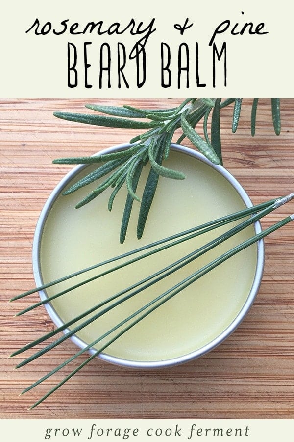 This rosemary pine beard balm is great for beards and smells amazing. It is easy to make and is also great for gift giving. Learn how to make this homemade herbal and foraged woodsy beard balm! A tin of rosemary pine beard balm on a wood background.
