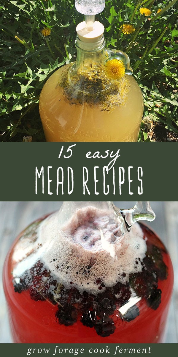 15 Easy Mead Recipes for Beginners