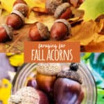 Foraging for Acorns: Identification, Processing + Acorn Recipes