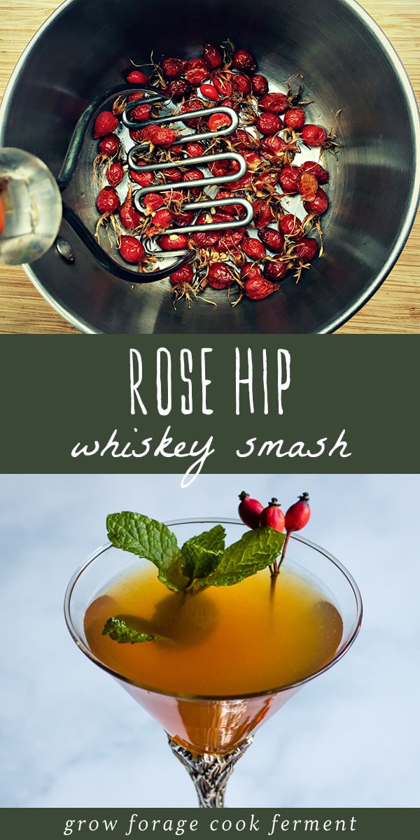 Learn how to make rose hip syrup and this festive rose hip whiskey smash cocktail! From the book Wild Drinks and Cocktails by Emily Han. #rosehip #whiskey #whiskeysmash #forageddrinks #foragedcocktails #wildcrafted