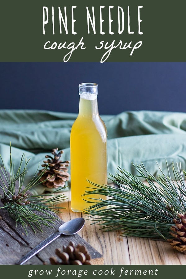 a bottle of pine needle cough syrup with a spoon, pine needles, and pine cones