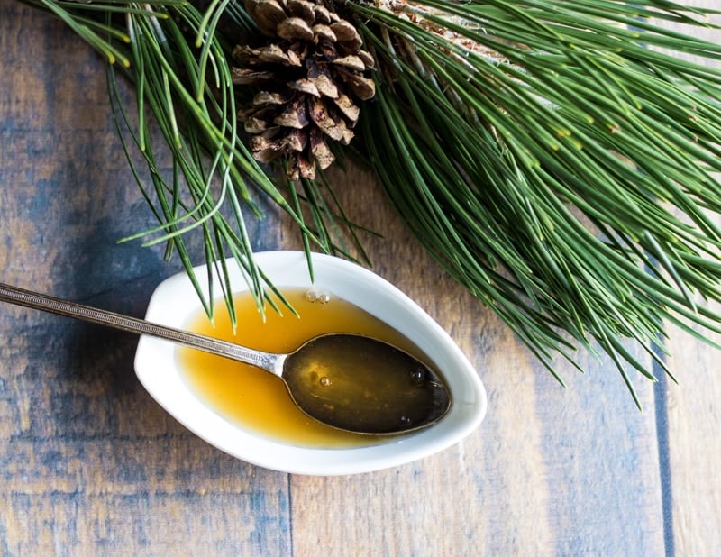 a small dish of pine needle cough syrup with a spoon