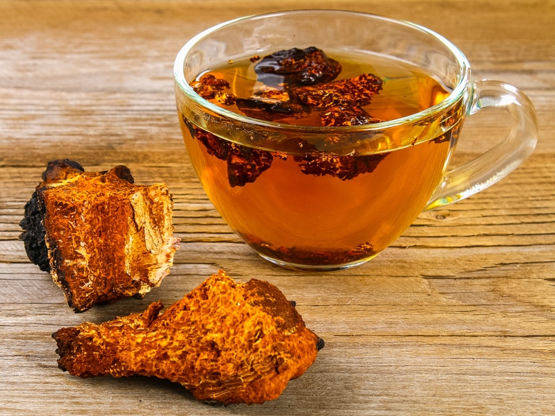 a mug of chaga tea