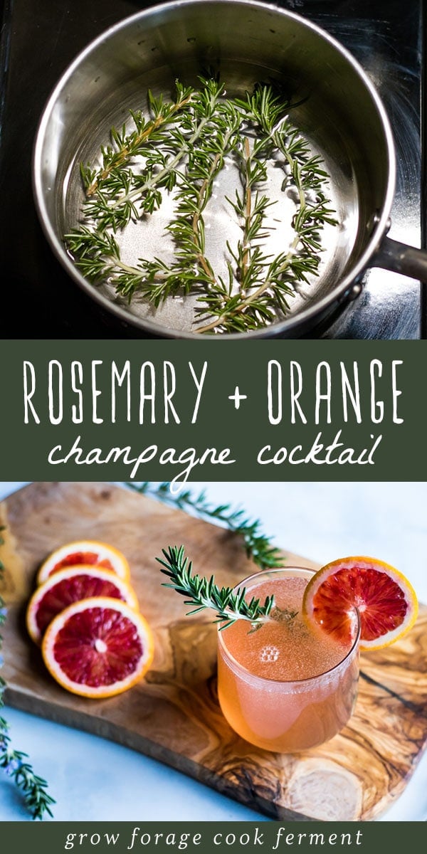 This rosemary champagne cocktail with blood orange is a delicious and festive drink! Get the benefits of fresh rosemary in this beautiful holiday cocktail. #rosemary #champagne #cocktail #holiday #drink