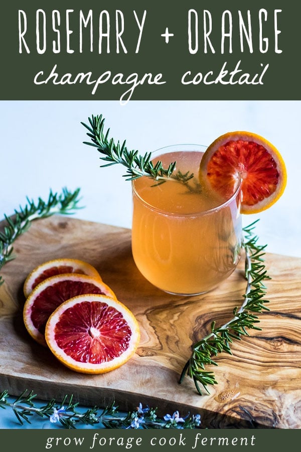 rosemary and blood orange champagne cocktail