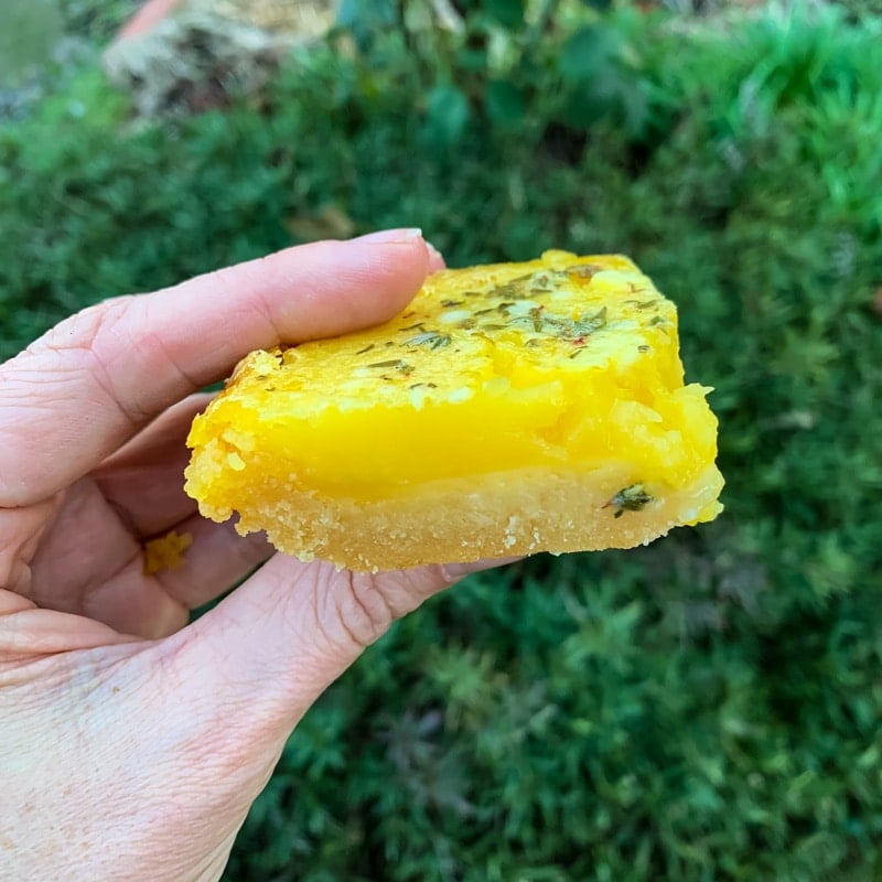 a hand holding a lemon bar with honey and thyme