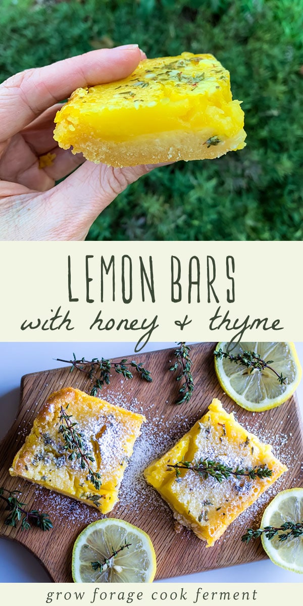 These delicious lemon bars with honey and thyme are gluten free, paleo, and made without refined sugar. They are the perfect herbal dessert to make during citrus season! #lemonbars #lemondessert #honey #thyme #glutenfree #paleo