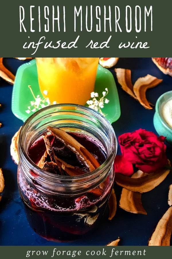 Make this reishi mushroom infused red wine for a delicious and relaxing drink! This cordial also contains rose hips and the adaptogen herb ashwagandha. This herbal wine is good for the immune system! reishi mushroom slices infusing in a jar of red wine