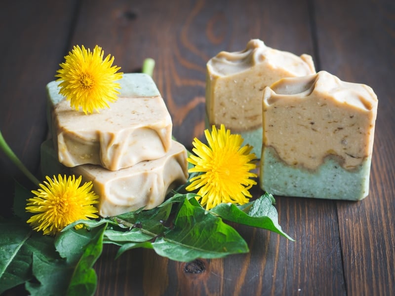 dandelion soap made with the whole plant