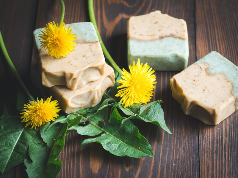 bars of dandelion soap on a wooden table with dandelion flowers and leaves