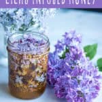 how to make lilac infused honey