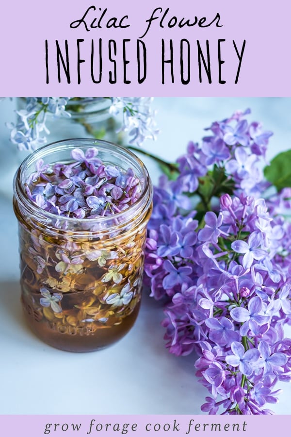 Lilac Flower Medicine