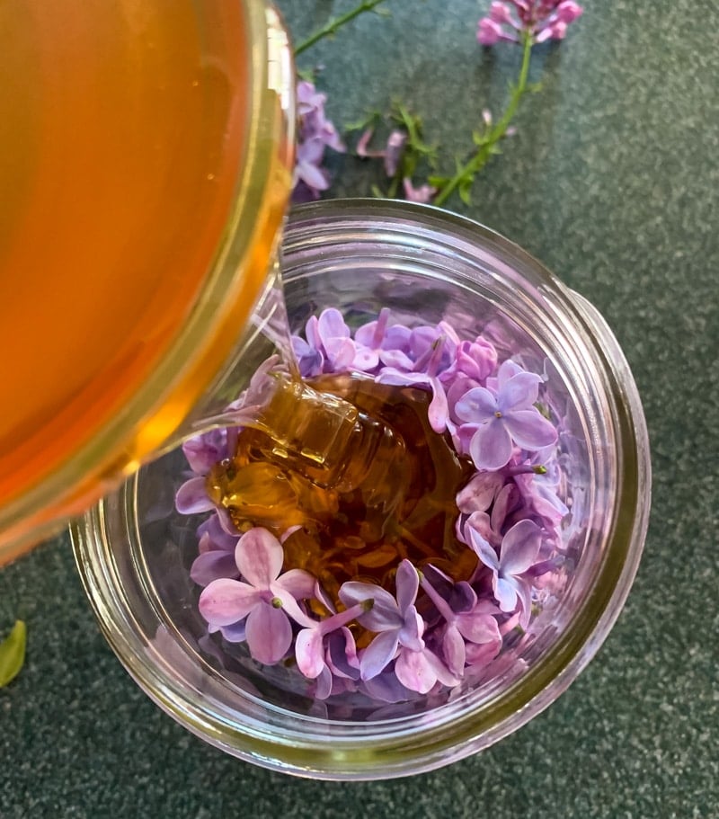 pouring honey into the jar of lilac flowers