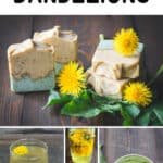 Dandelions Recipes