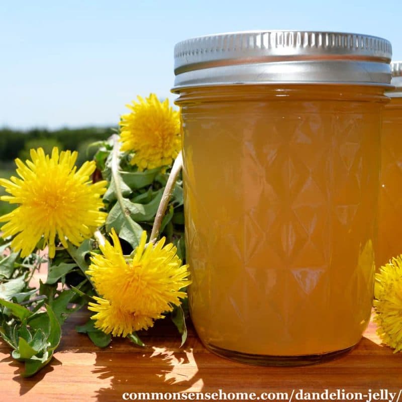 a mason jar of dandelion jelly