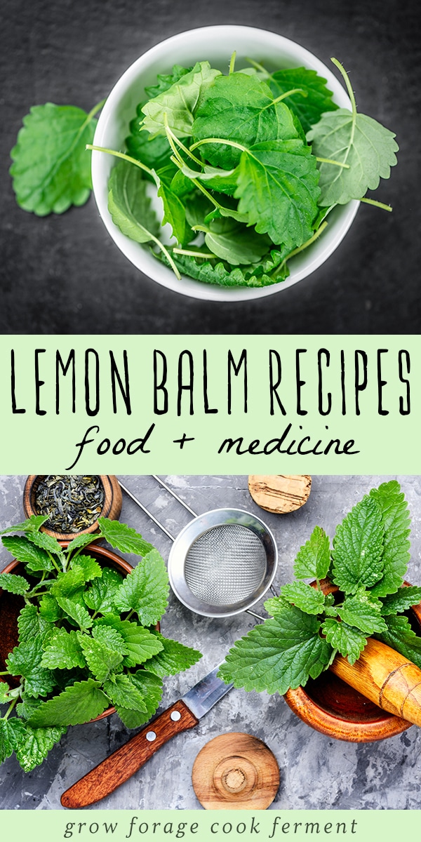 Lemon Balm Recipes food, drinks, remedies, + more!
