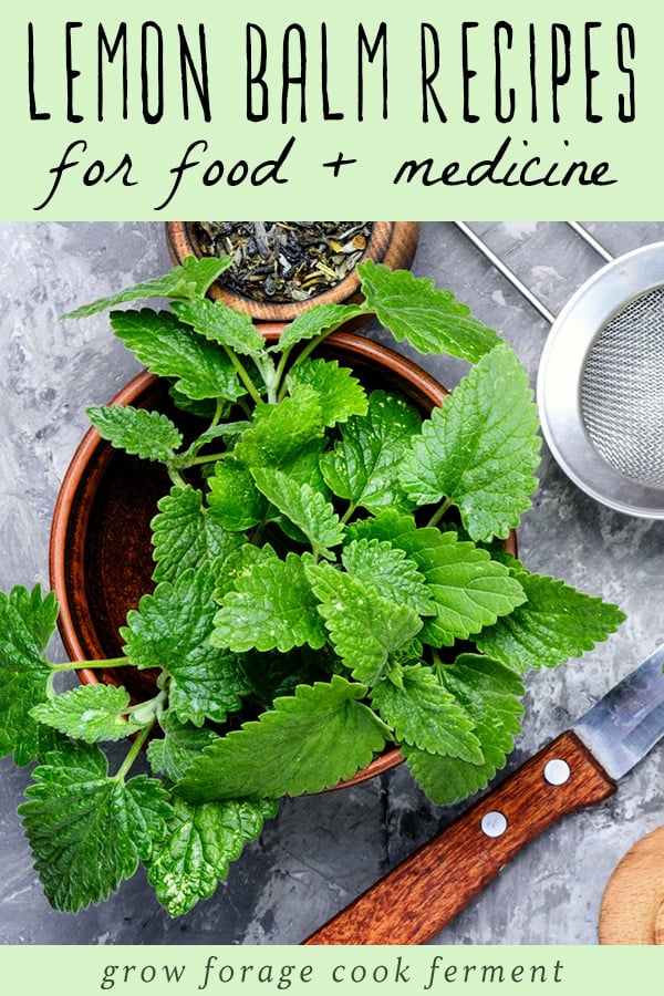 a bowl full of fresh lemon balm