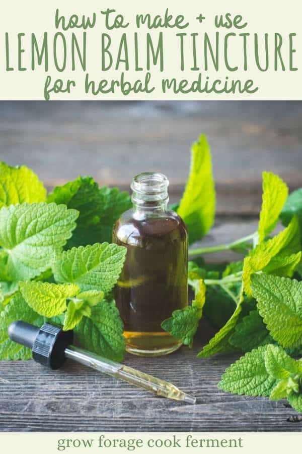 How to Make Lemon Balm Tincture