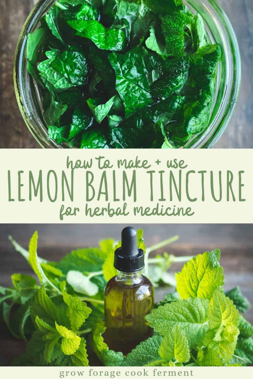 How to Make Lemon Balm Tincture
