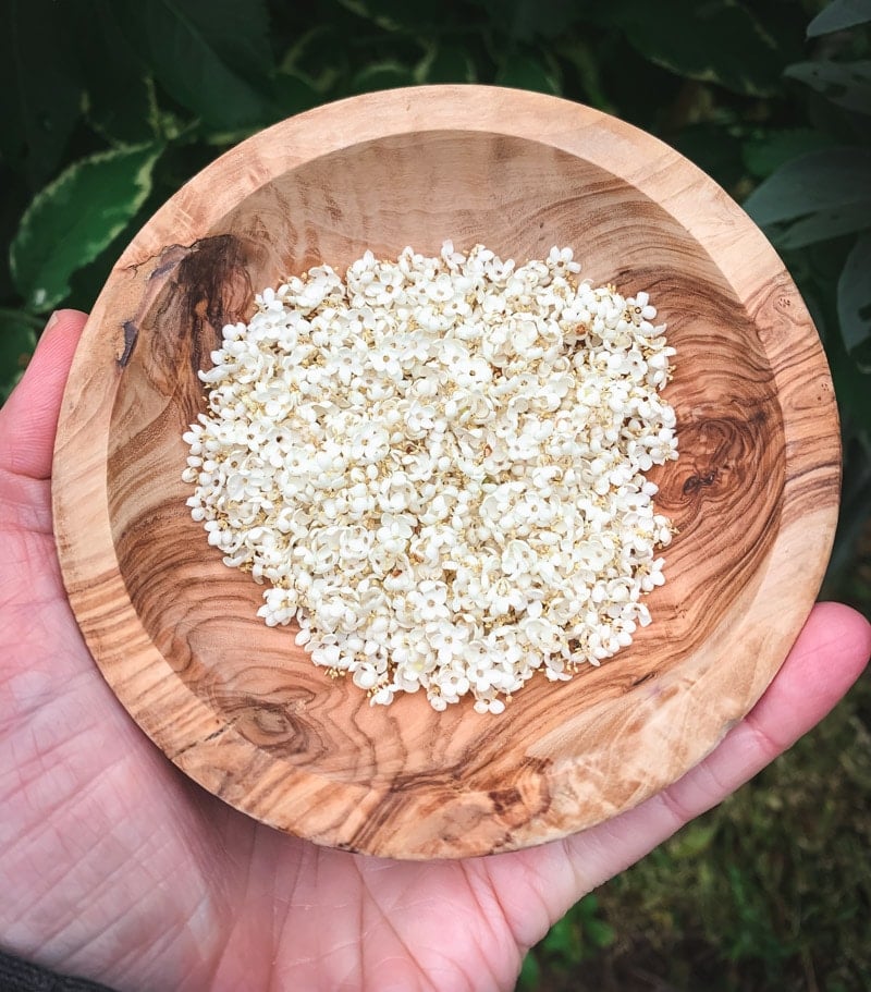 a small wooden bowl of foraged elderflowers