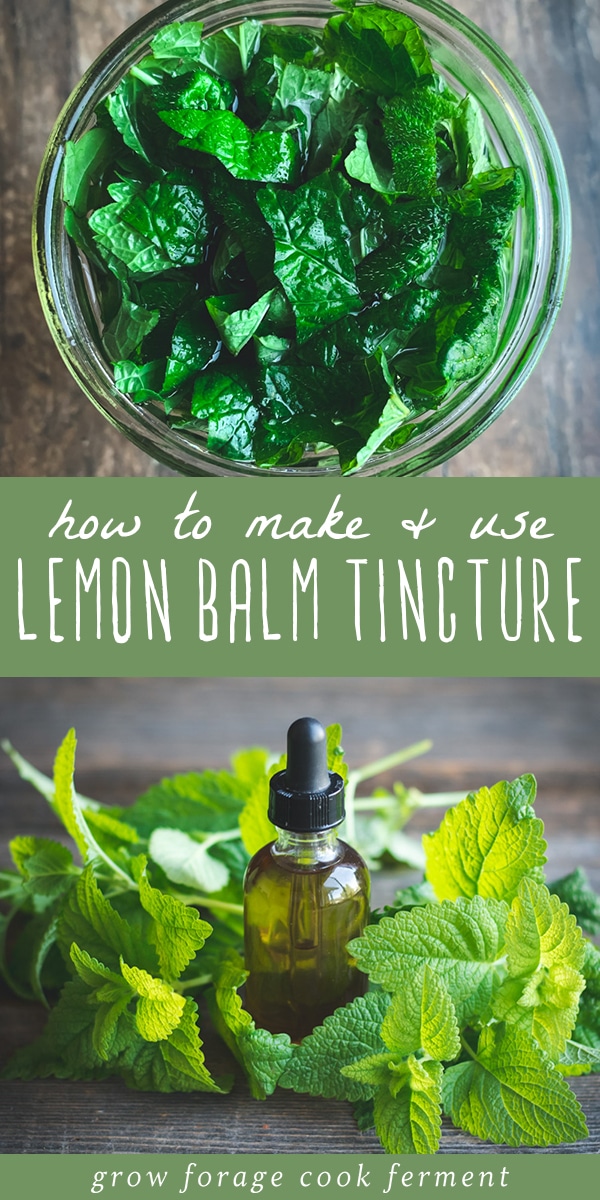 How to Make Lemon Balm Tincture