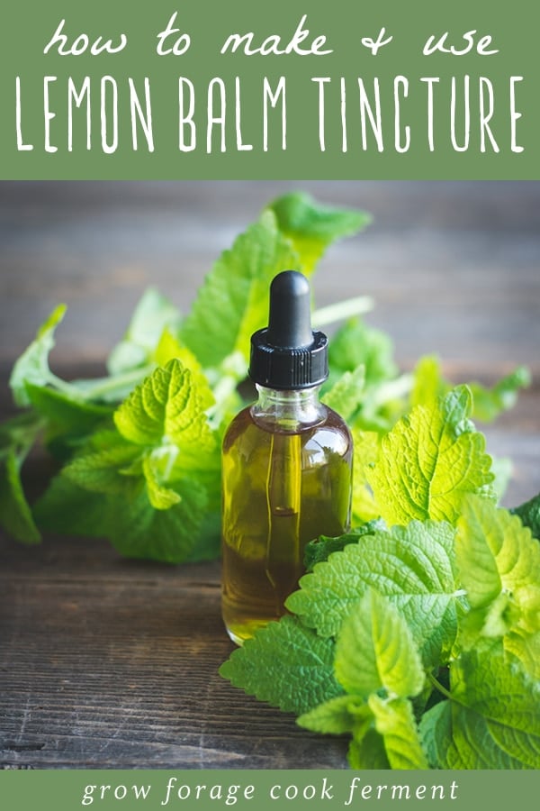 a bottle of lemon balm tincture