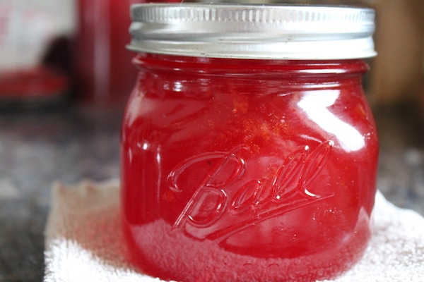 a jar of prickly pear cactus jelly