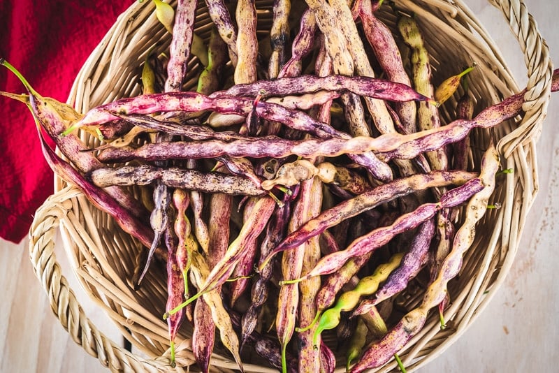 a basket of mesquite pods