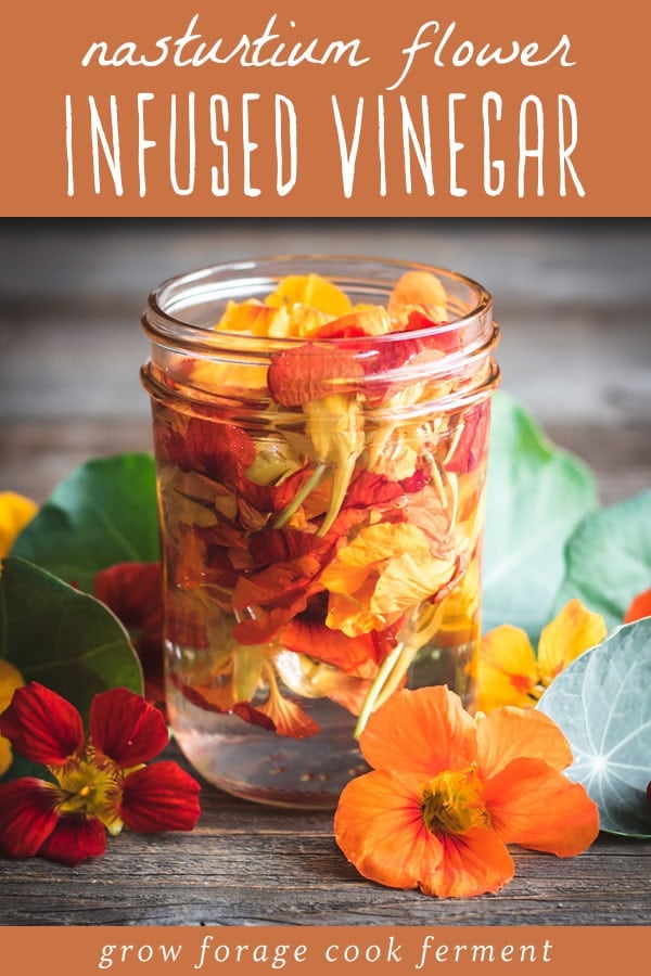 In the summer, when you have nasturtiums growing in your garden make this nasturtium flower-infused vinegar! It has a gorgeous color and peppery flavor and can be used to make a wonderful and nutritious salad dressing. a jar of naturtium flowers infusing in vinegar