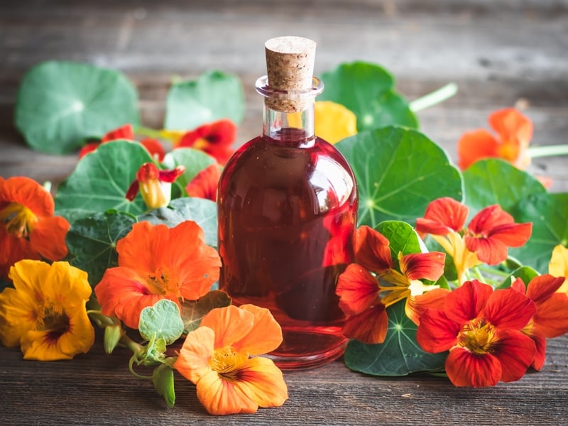 In the summer, when you have nasturtiums growing in your garden make this nasturtium flower-infused vinegar! It has a gorgeous color and peppery flavor and can be used to make a wonderful and nutritious salad dressing. a bottle of nasturtium vinegar with a cork