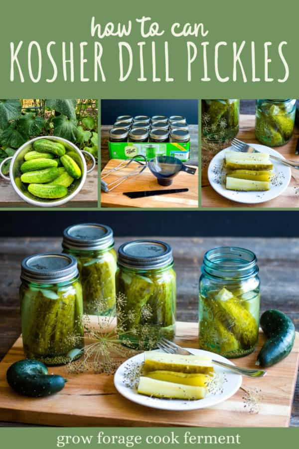 Kosher Dill Pickles Canning Recipe