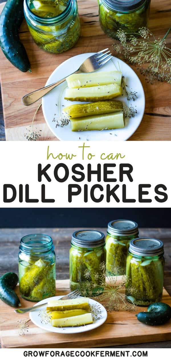 Kosher Dill Pickles Canning Recipe