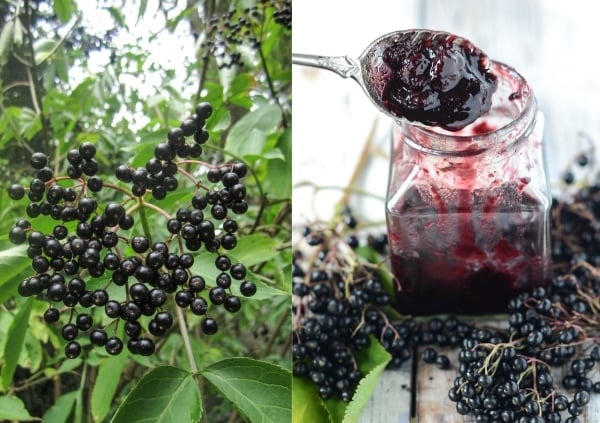 Elderberry Recipes: Elderberry Chutney